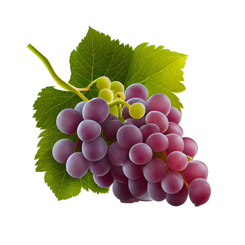 Grozdje
